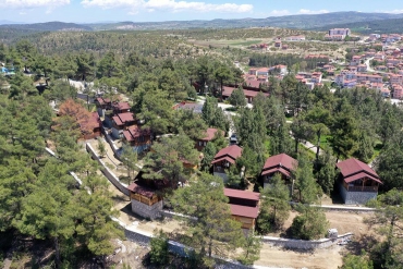 Bursa